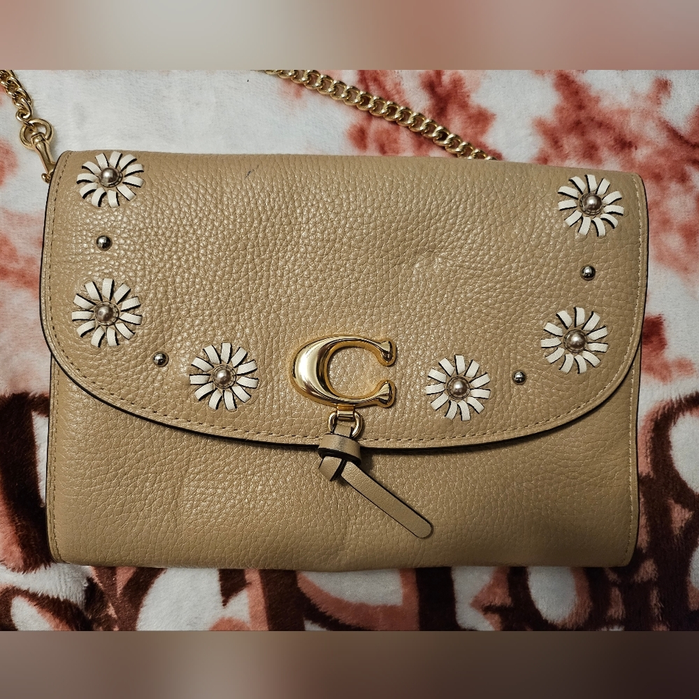 Coach slingbag